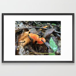 Fiery Mushrooms Framed Art Print