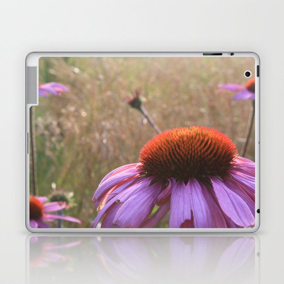 Echinacea Laptop & iPad Skin