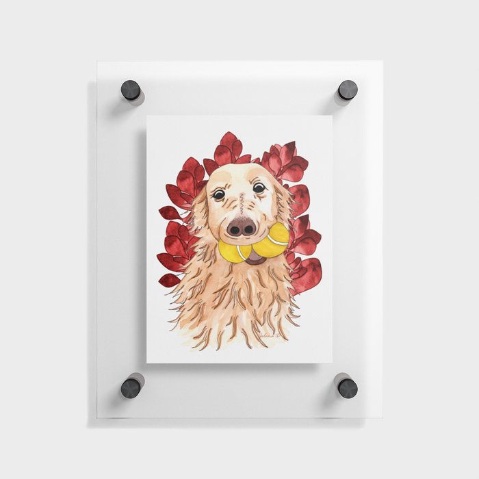Golden Retriever - Red  Floating Acrylic Print