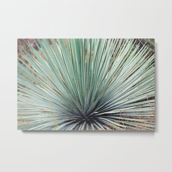 Agave Plant Metal Print