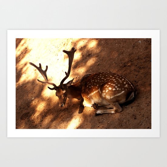 Basking #3 Art Print
