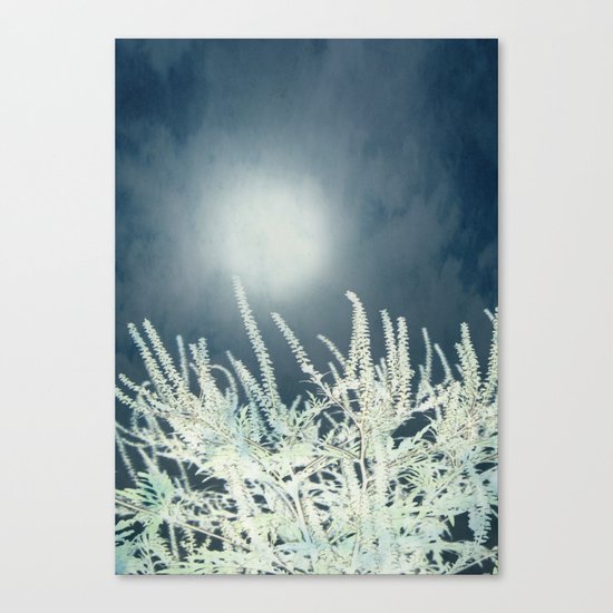 Silver Moon Canvas Print