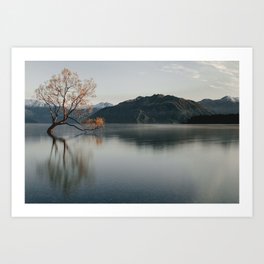 Wanaka Tree in New Zealand | Landscape Photography | Print Art Art Print