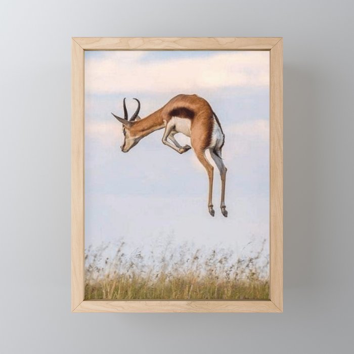 Gazelle  Framed Mini Art Print