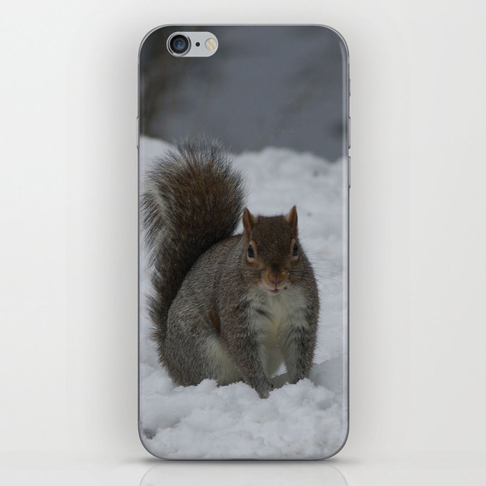 Squirrel in the snow  iPhone Skin