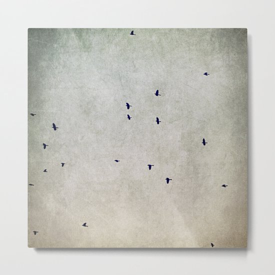 flight Metal Print