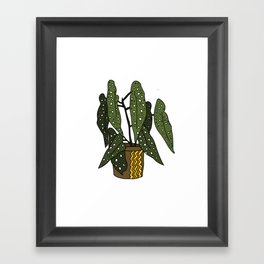 Begonia Maculata Framed Art Print