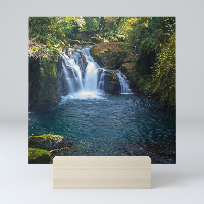 Beautiful Waterfall Nice for Swimming Mini Art Print