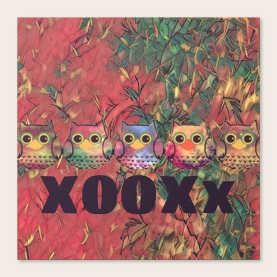 owl-239 Canvas Print