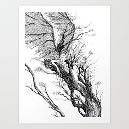 tree nymph Art Print
