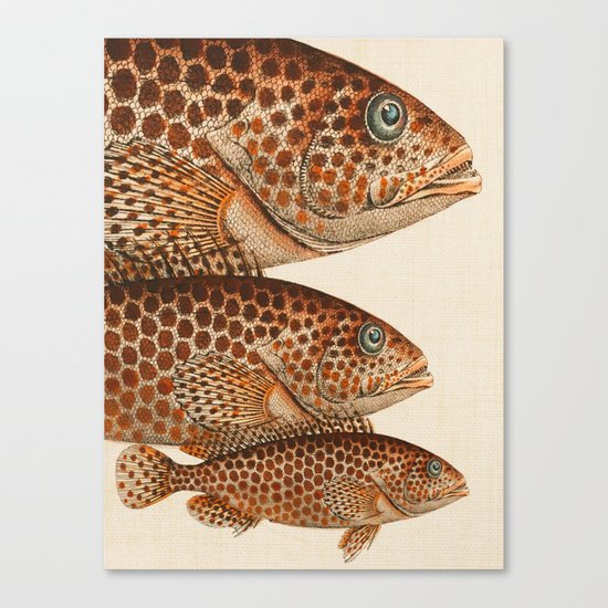Fish Classic Designs 6 Canvas Print