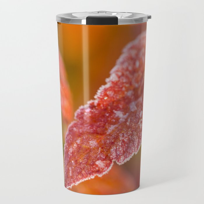Frosty Red Leaves In The Morning Of October Decor Buyart