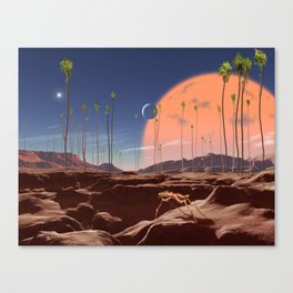 Life On a Low-Gravity World Canvas Print