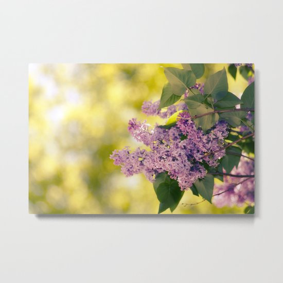 lilacs Metal Print