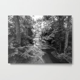Natural Path Metal Print | Black And White, Forest, Stream, Photo, Park, Digital, Nature, Monochrome 