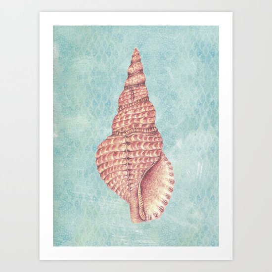 sea shell Art Print