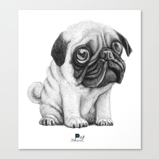 Pug Pug 01 Canvas Print