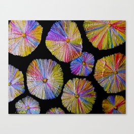 Acicular Gypsum Crystals Canvas Print