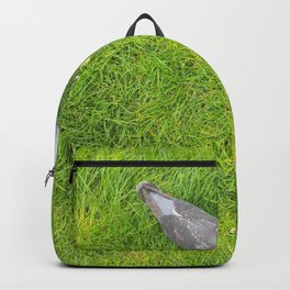 Two Pigeons Backpack | Photo, Animal, Grass, Greengrass, Twopigeons, Birds, Pigeons 