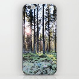 Scottish Pine Forest with Sun in I Art  iPhone Skin