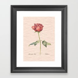 Watercolor vintage red rose flower  Framed Art Print