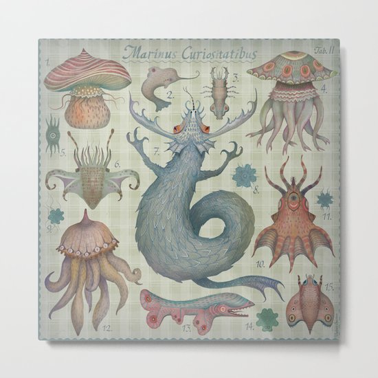 Marine Curiosities II Metal Print
