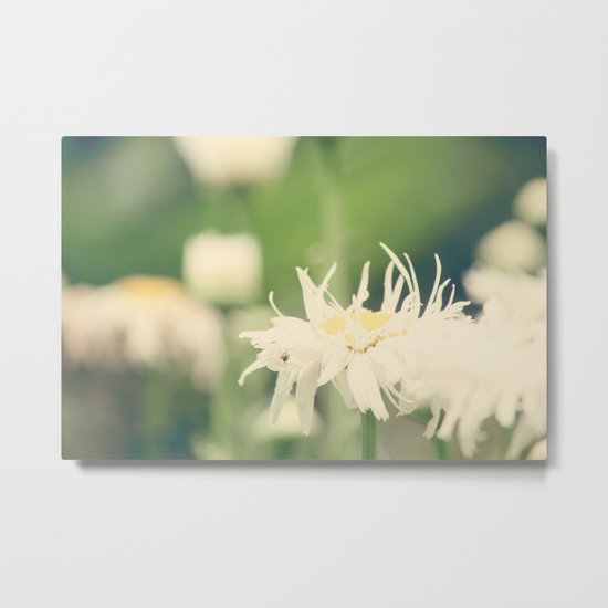 Reaching for the Rain Metal Print