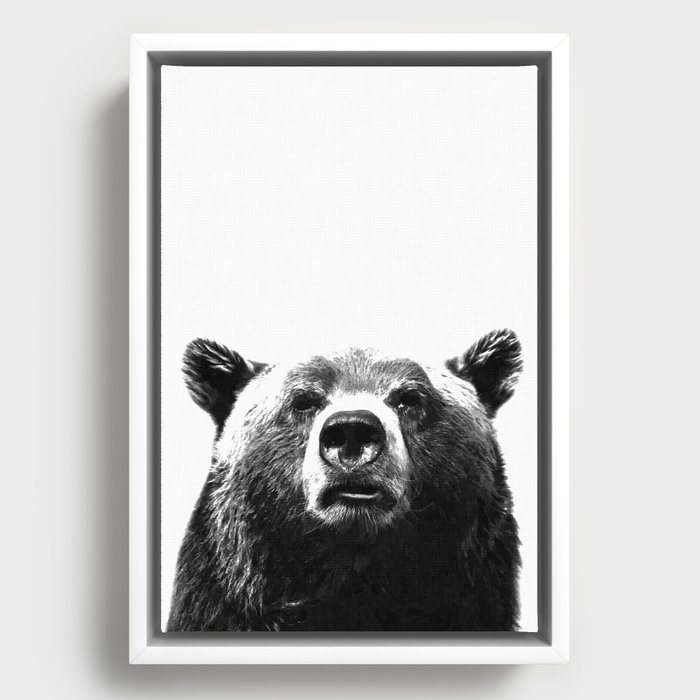 Black and white bear portrait Framed Canvas