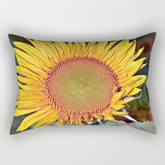 Floating SUN Rectangular Pillow