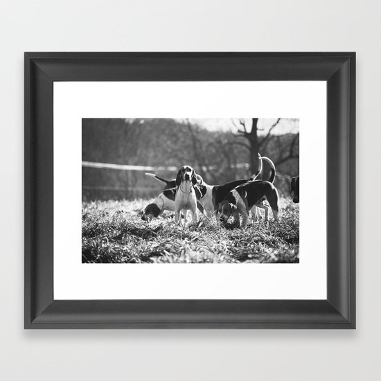 Foxhound Framed Art Print