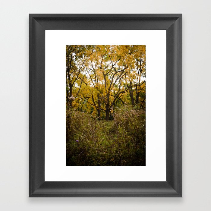 Walk Through Fall Framed Art Print