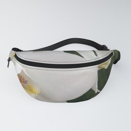 BREATH Fanny Pack