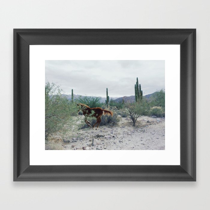 Mexican Horse Hide Framed Art Print