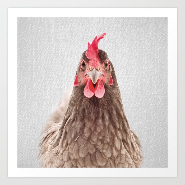 Chicken - Colorful Art Print