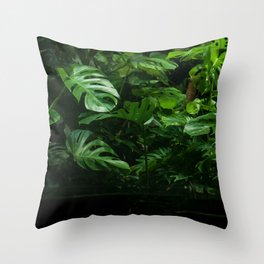 Brazil Photography - Dense Leaves In The Rain Forest Throw Pillow