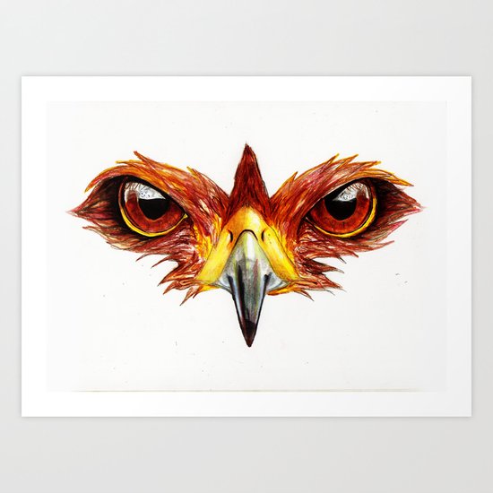 Hawk Eyes Art Print