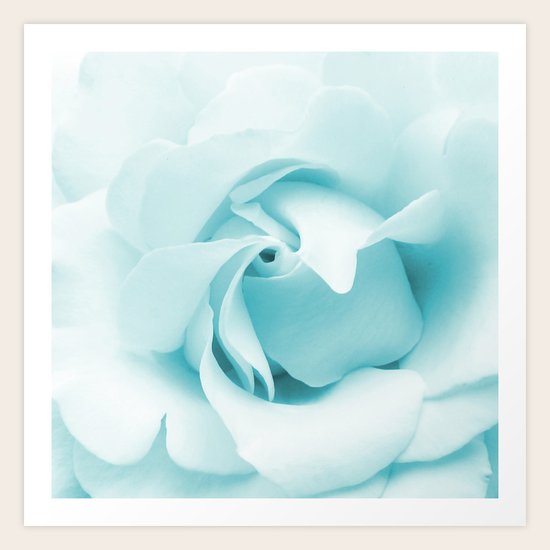 Blue Rose Art Print