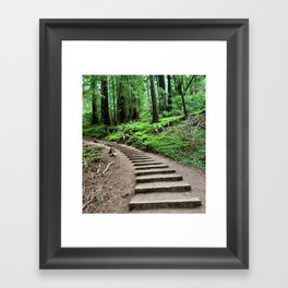Redwood forest mountain road Framed Art Print