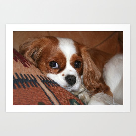 The Pup Art Print