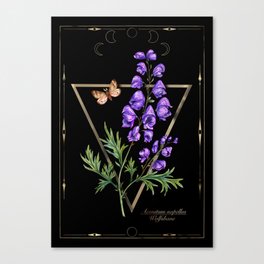 Wolfsbane magical herb  Canvas Print