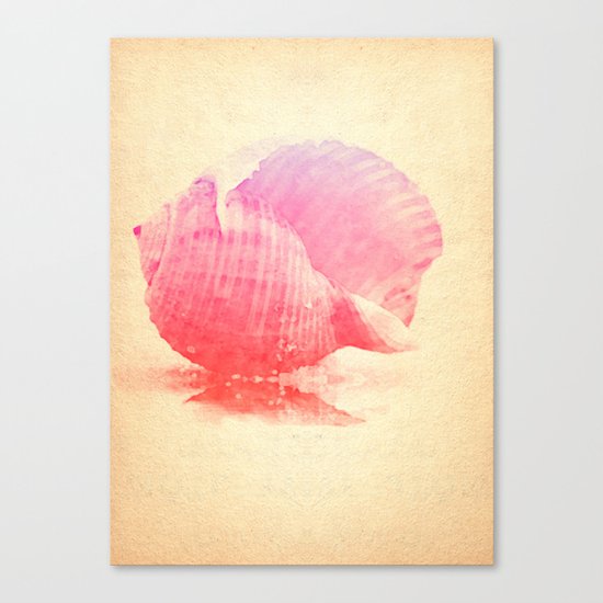 Pink Seashell Canvas Print