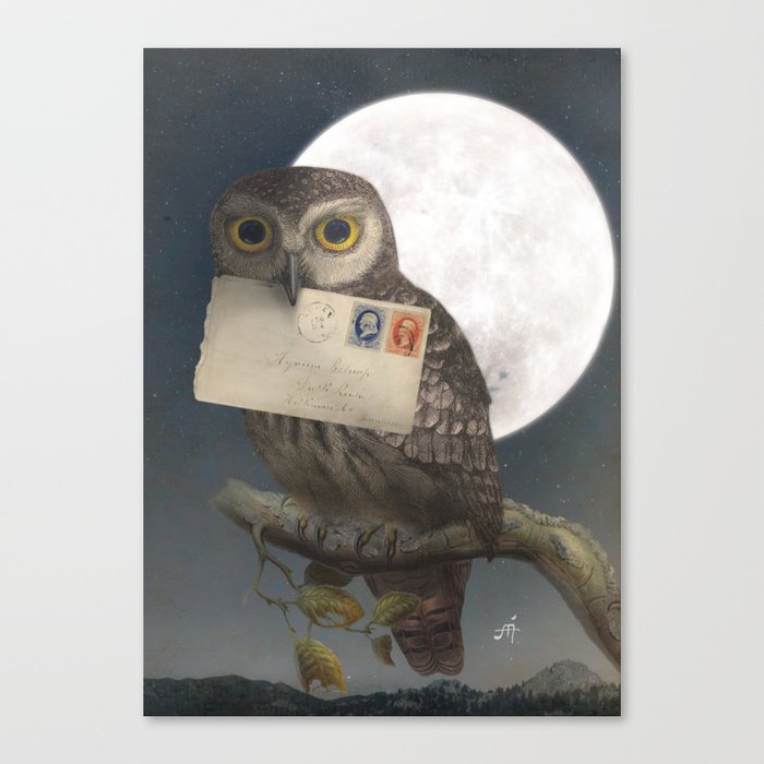 Owl Post Canvas Print