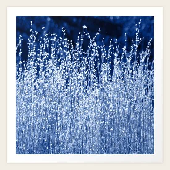 Frozen Grasses Art Print