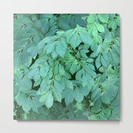 Euterpe Metal Print | Flowers, Photo, Leaves, Nature, Repeat, Green, Wet, Foliage 