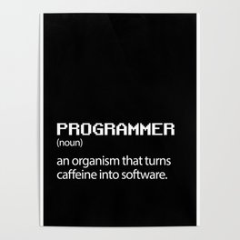 Computer Programmer / Developer Funny Wall Art Poster