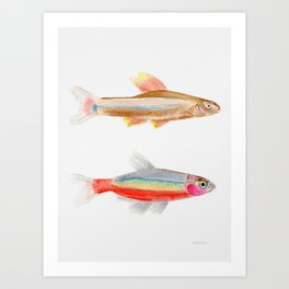 Colorful Fish Art Print