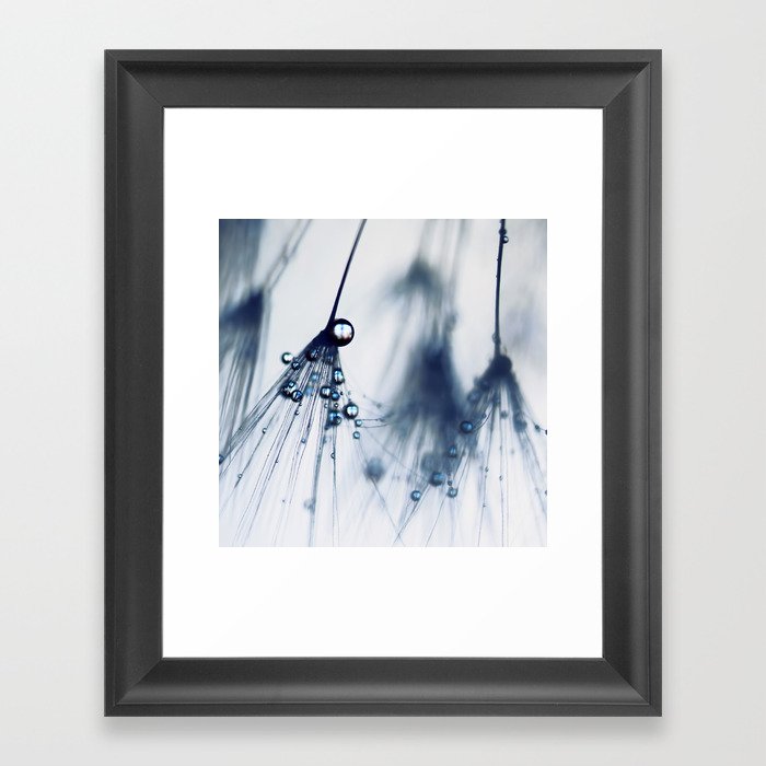 dandelion - blue - flower photography - nature Framed Art Print