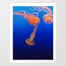 Digital Manipulation Art Prints Society6