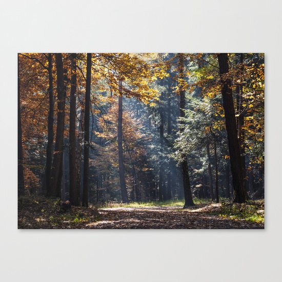 Colorful autumn Canvas Print
