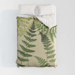 Botanical Ferns Comforter